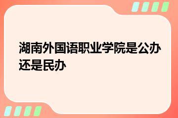 湖南外国语职业学院是公办还是民办？