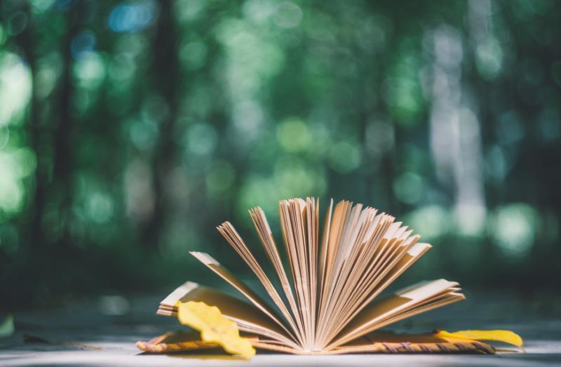 生物统计学专业属于什么类别？