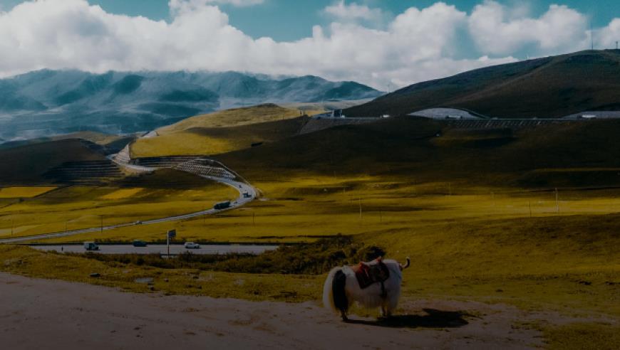 青海西宁倡议党员干部做旅游志愿者：贡献自己车辆，邀游客去家里留宿