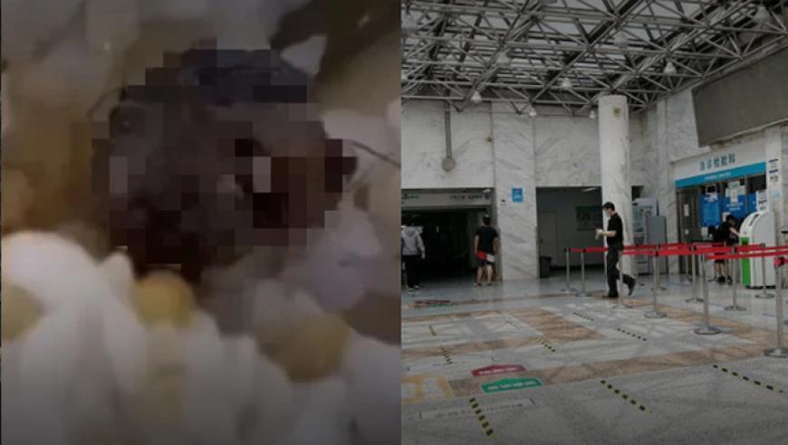 人民网评：越真实越权威，“鼠头鸭脖”事件的启示