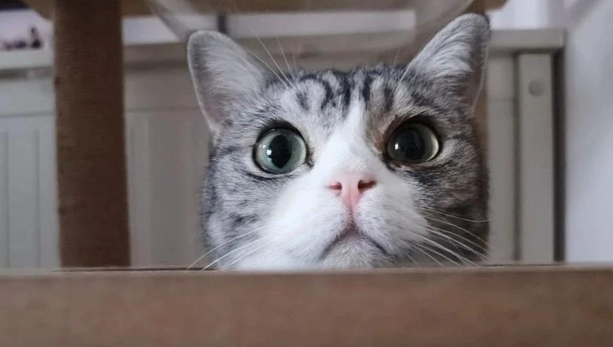 金融圈惊了！知名券商前员工违规炒股，21年交易超9亿，一分钱没赚，被罚25万，什么情况？