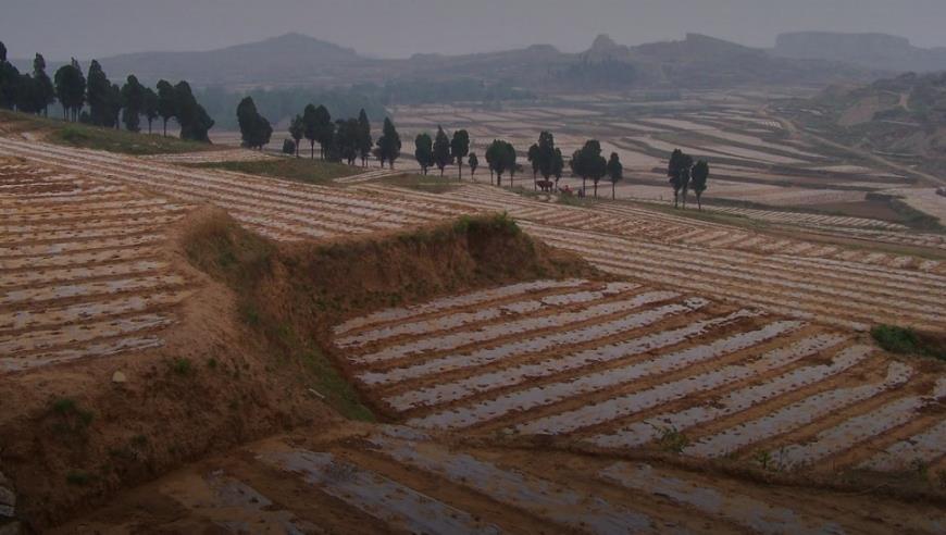 14省份公布前5月财政“账本”：税收收入恢复性增长，卖地收入仍低迷