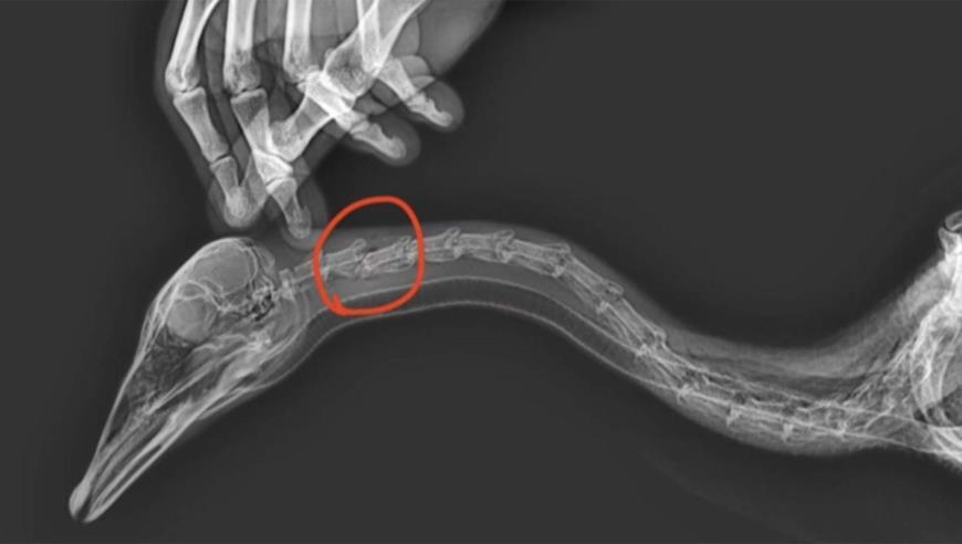 拜登莫迪闭门会谈后发表联合声明，外媒解读：似乎针对中俄