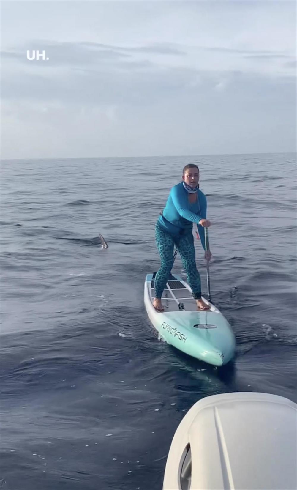 美国一女子桨板比赛中途遭鲨鱼“跟踪”,完赛后看视频才倒吸一口凉气