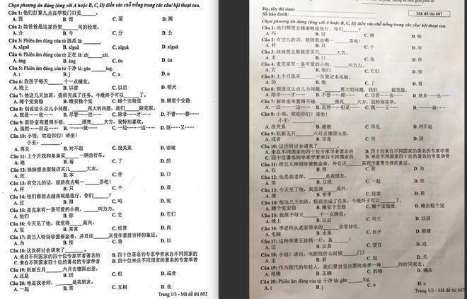 越南高考中文卷冲上热搜 华裔中文老师：较简单，最难的是成语，学好中文工资更高