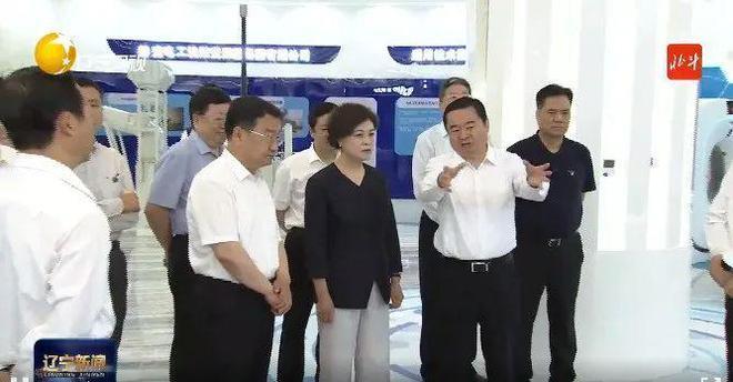 副国级率队赴地方执法检查，4位组长亮相