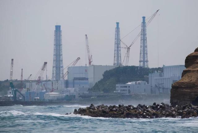 韩国在野党议员面斥格罗西！IAEA从一开始就未遵循中立客观原则