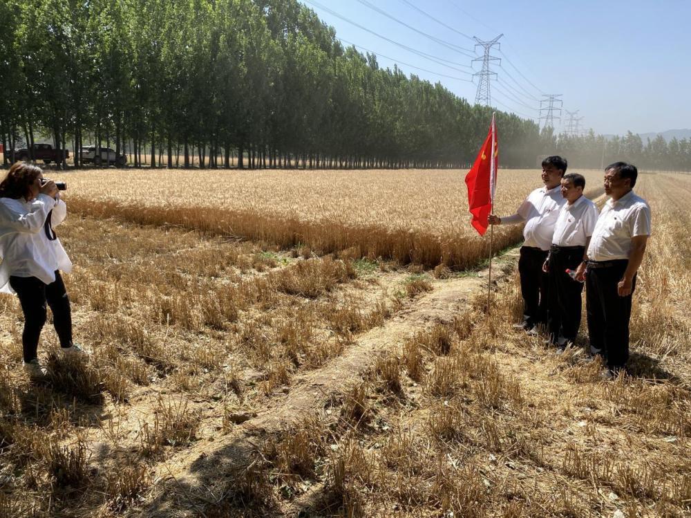 一个“地主”承包土地十年：“挣的钱全投进去了”