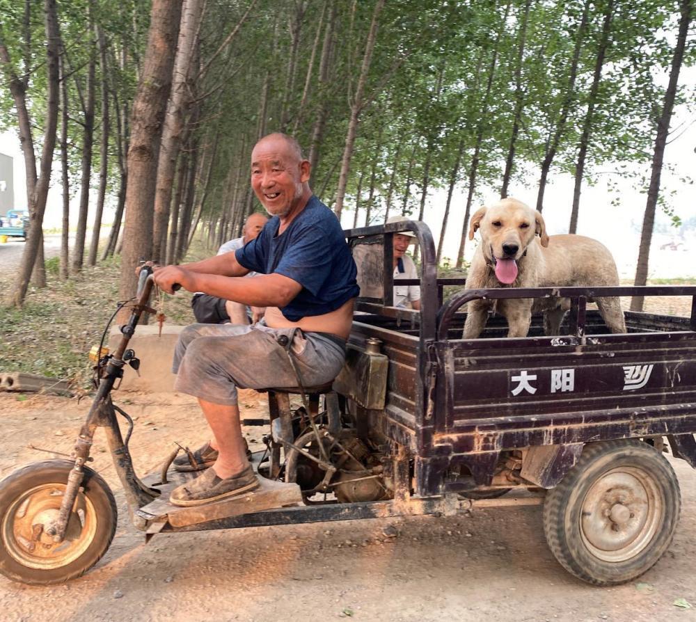 一个“地主”承包土地十年：“挣的钱全投进去了”