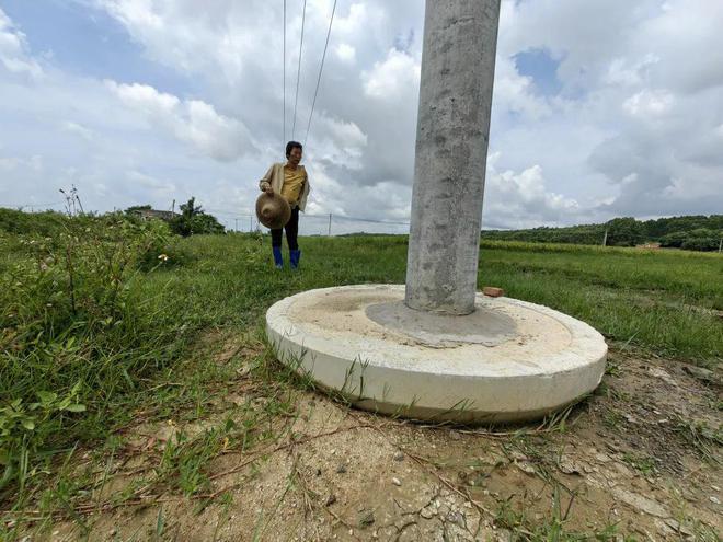 广东电网回应“电杆建在农田里”：立即成立联合调查组