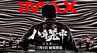 IMAX对话王宝强：电影《八角笼中》以真实动人