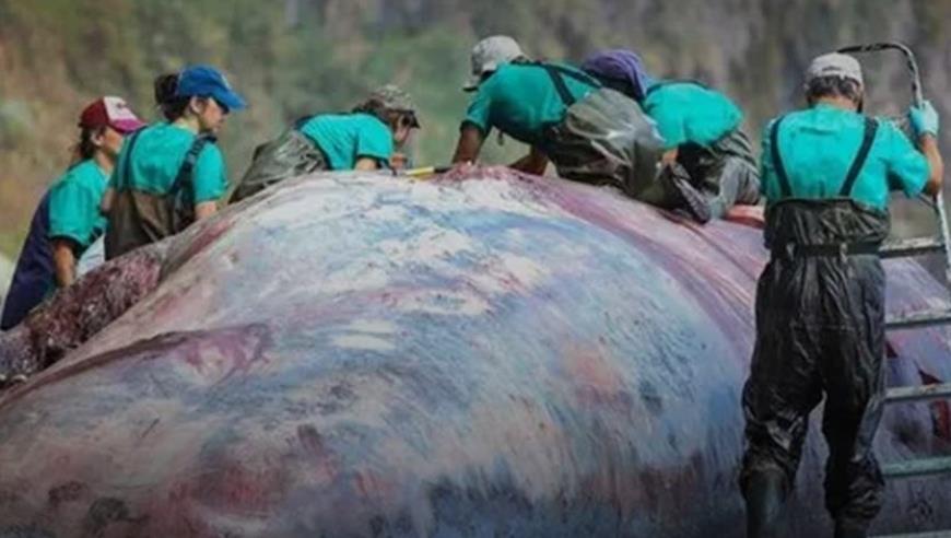 新冠检测公司赚的钱没处花，豪掷218亿去理财