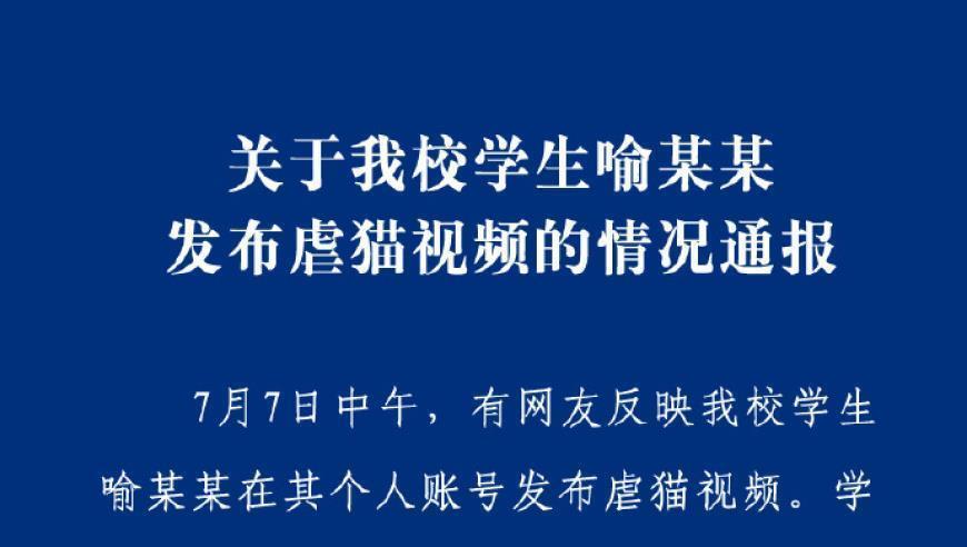 国家网信办：组织网络暴力或借网络暴力事件炒作等行为，应从重处罚