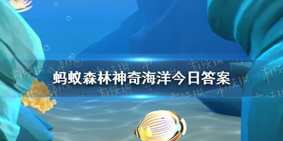 神奇海洋今日答案7.26 支付宝哪种海洋动物会用宽大的嘴巴进行滤食