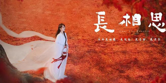 男主男配为出圈手段百出，杨紫稳占C位