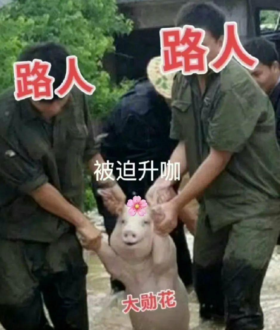 魏大勋的下一位主角是谁