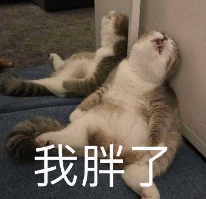 从大众到冷门，这些 APP 经历了什么