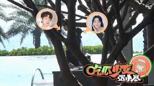 就算是新晋顶流魏大勋，和秦岚在一起也属于高攀