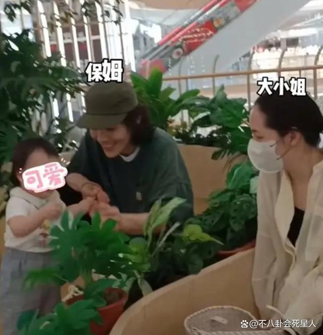 郭碧婷和一对子女，是向佐“洗白”的最好利器