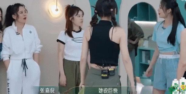校花出道入行十年，归来仍是社畜？