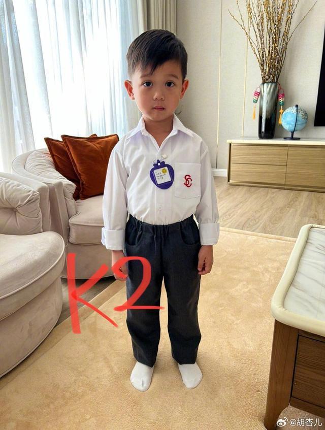 胡杏儿晒大儿子幼稚园毕业照 表示“爸爸妈妈很为你骄傲”