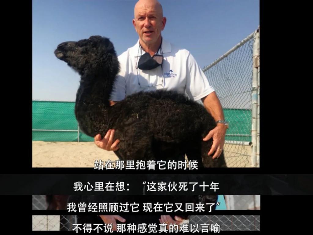 这顶流中的顶流，也「塌房」了