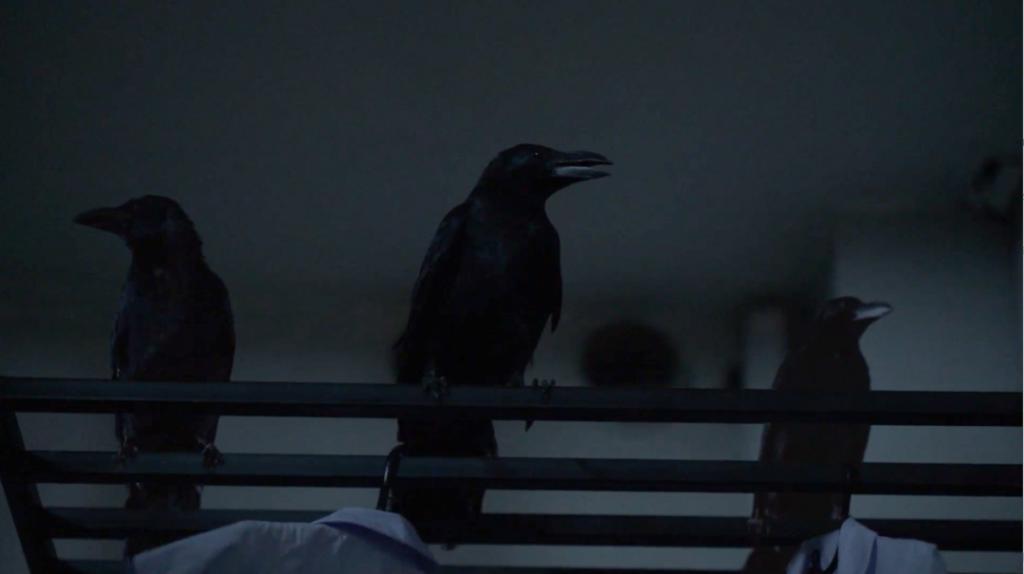 出租屋里的泰式18禁，好邪门