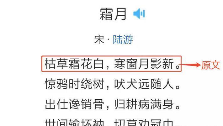 这个比一定要装吗？