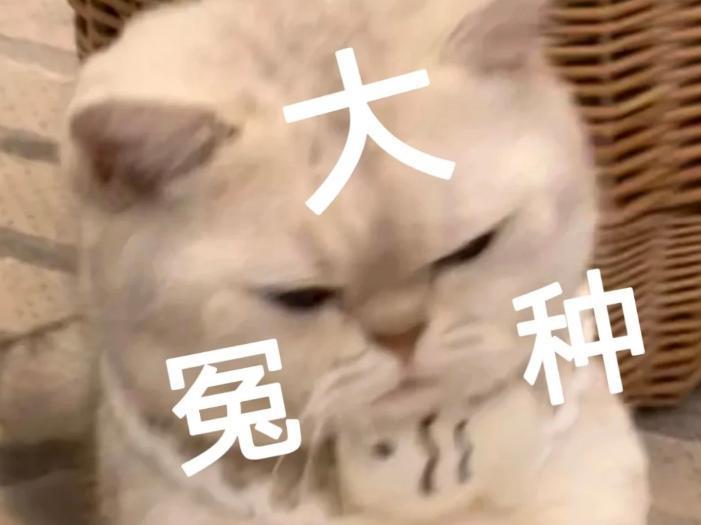 小三结婚，审判原配?
