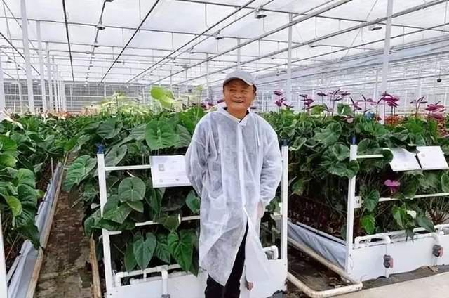 半年卖货超万亿，直播带动农村电商爆发