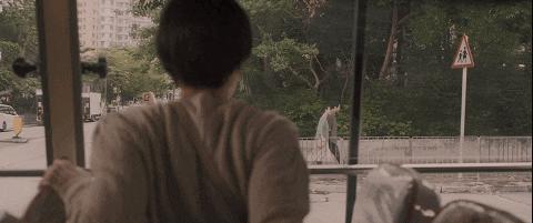 香港最后一个天后,也认输了