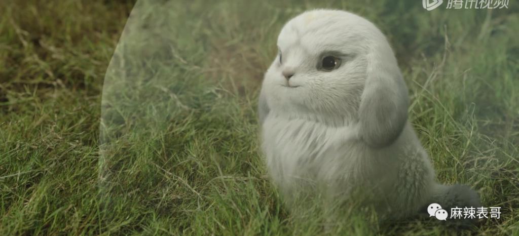 杨紫这次能一拖四吗？