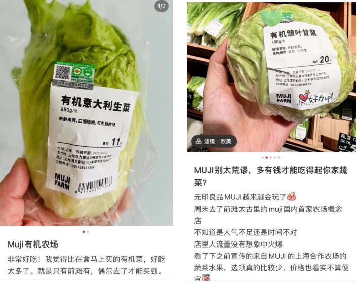 生菜11块的无印良品，人们不买单了