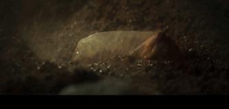 疯了，这下他无缘内地银幕