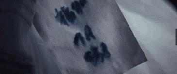 疯了，这下他无缘内地银幕