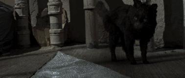 疯了，这下他无缘内地银幕