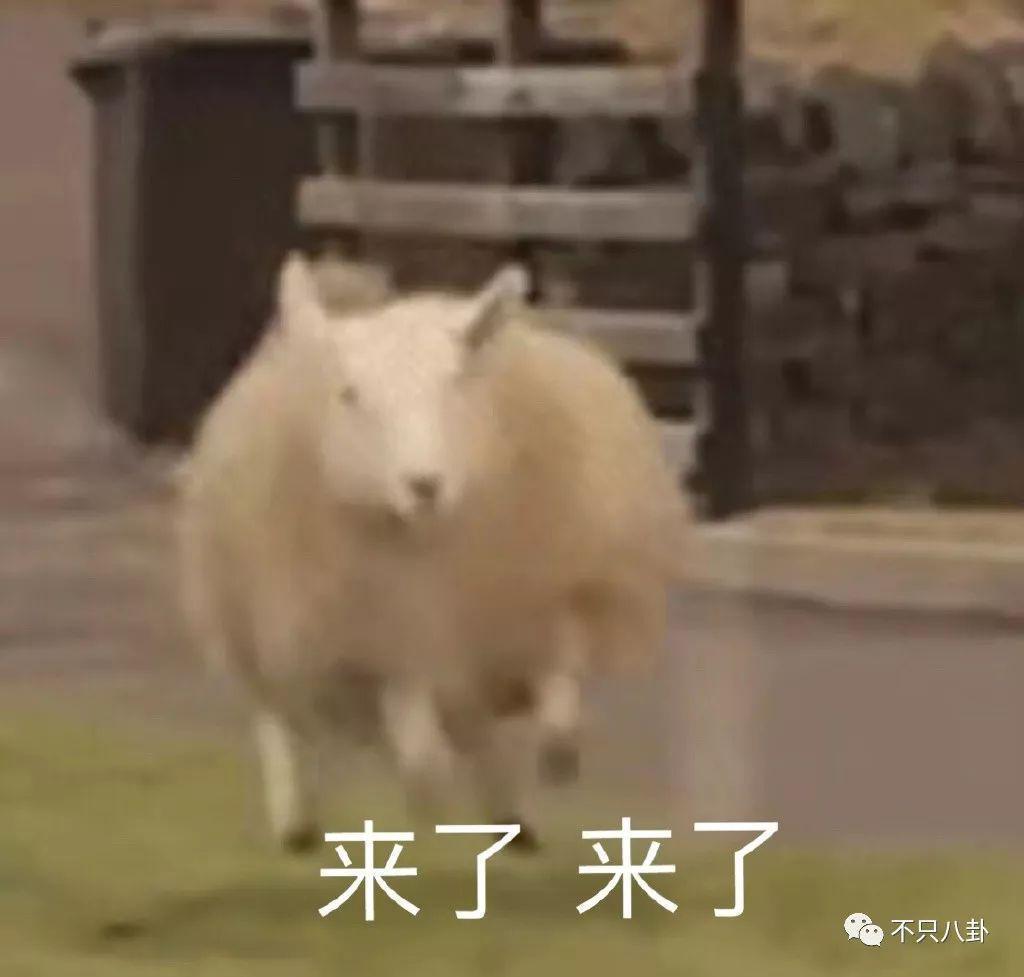 他俩居然还没分手？女方被吐槽有点恋爱脑了