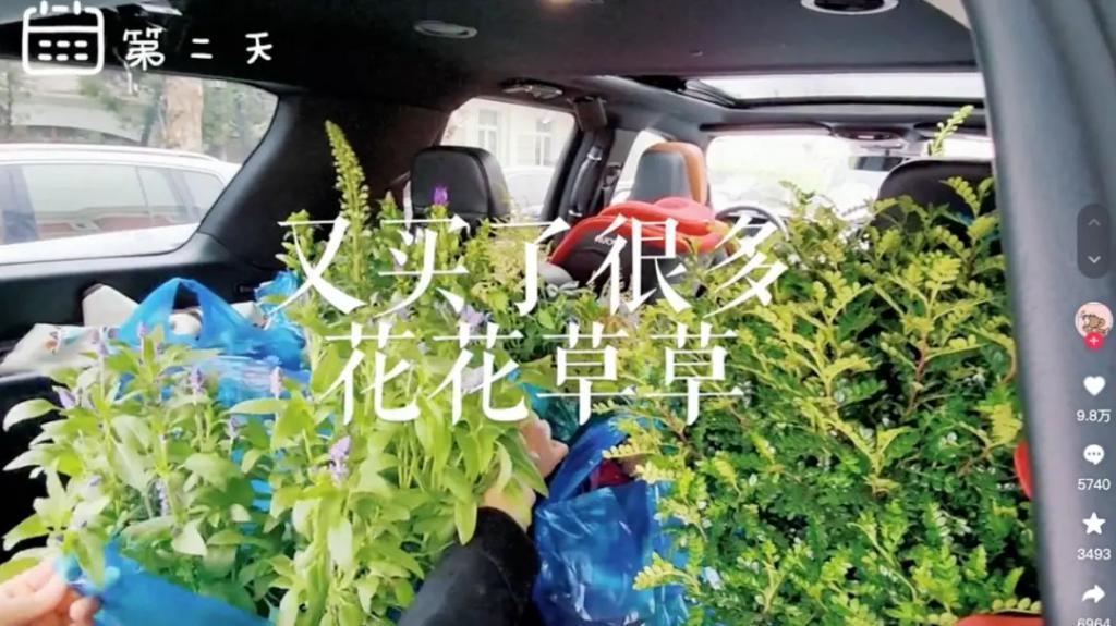 明星夫妻人设也塌了？无缝怀孕生娃被质疑靠孩子留住男人