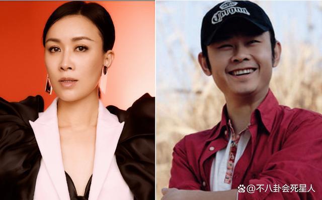 被刀郎内涵还被全网骂，那英走到今天，到底冤不冤？