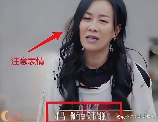 被刀郎内涵还被全网骂，那英走到今天，到底冤不冤？