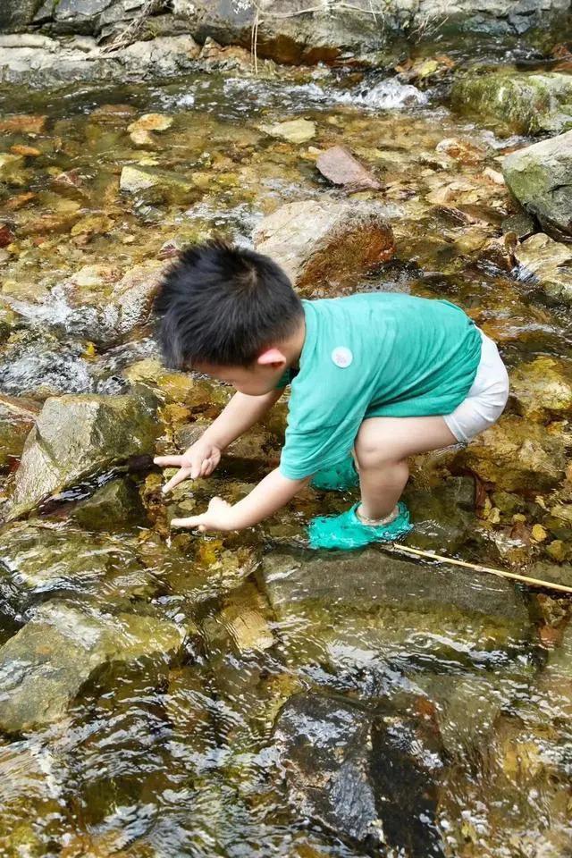朱丹晒一家四口出游，周一围背着一双儿女大展爸爸力，幸福洋溢