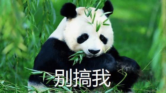 你跟他睡还能生出熊猫来？