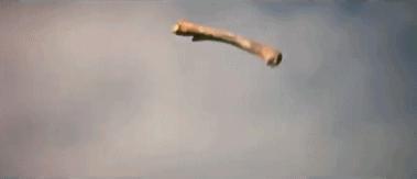 刚刚8.8了,我不允许她被消失