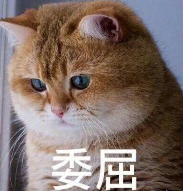 刀郎的新歌让那英被300万人骂？