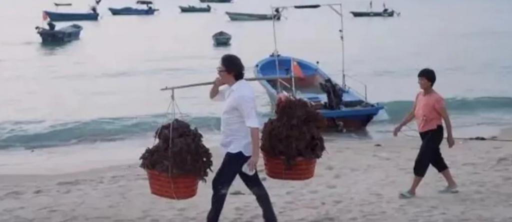 从《跑男》消失的蔡徐坤，彻底沦为弃子？