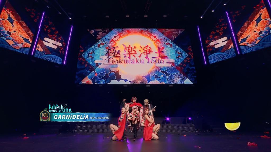 B 站这场二次元演唱会，没打算破圈