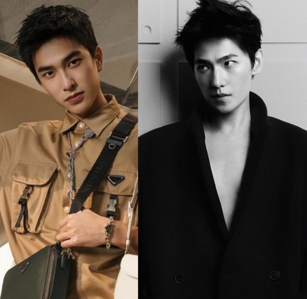 杨洋牺牲自己，捧红了全内娱