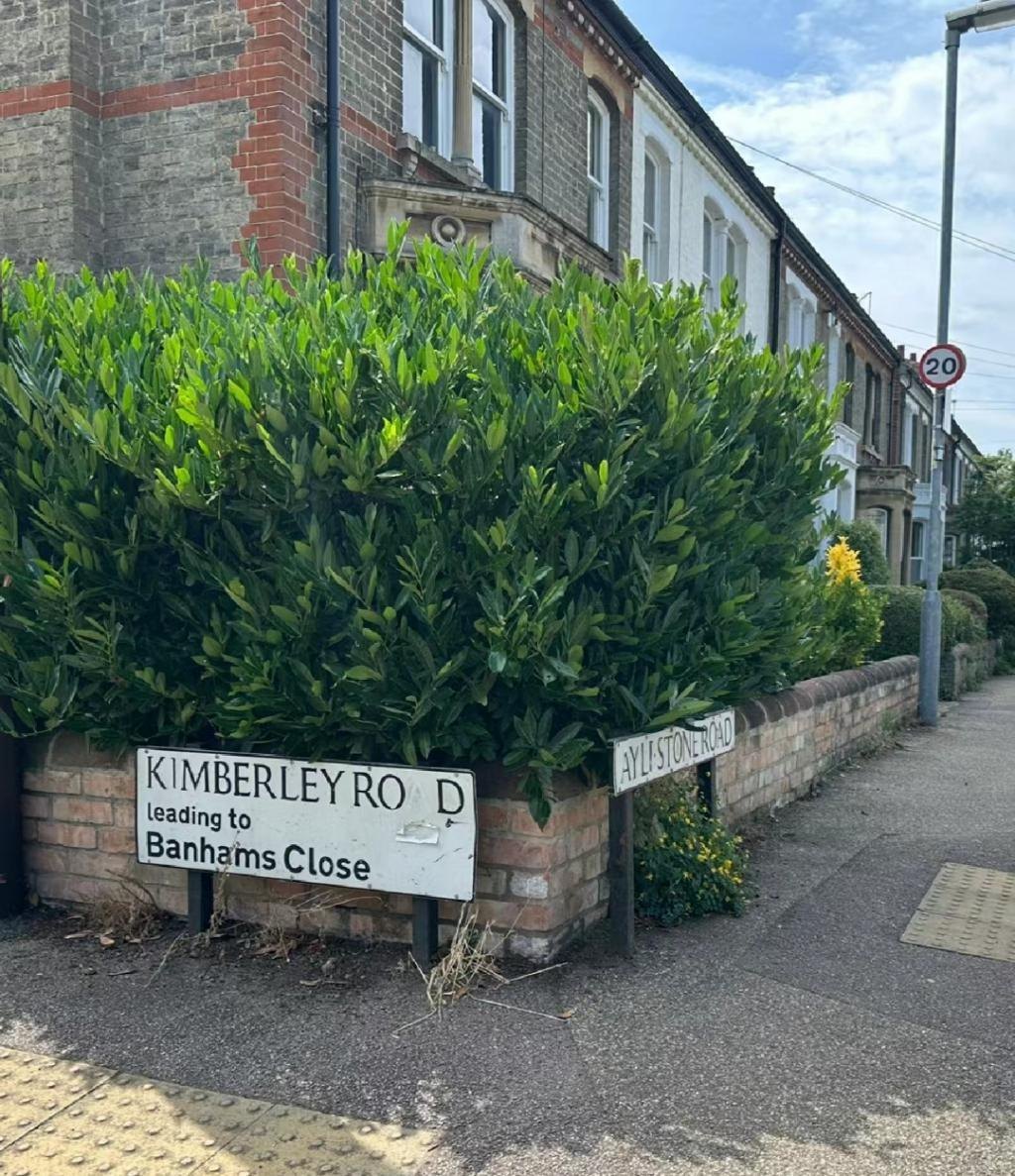 杨洋牺牲自己，捧红了全内娱