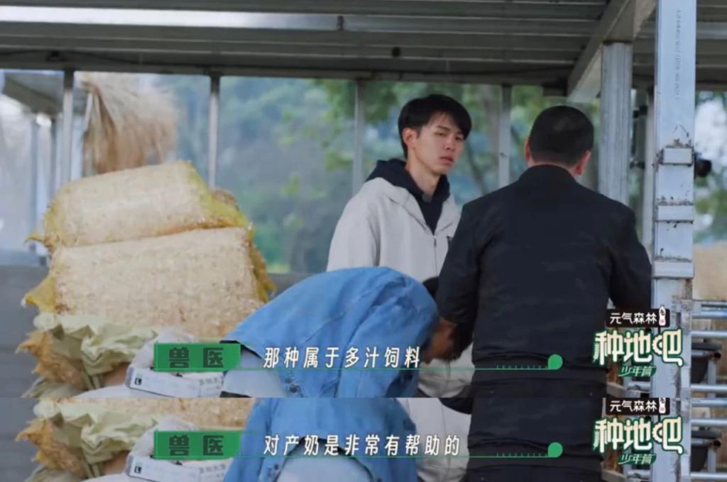 自古“糊综”多仙品！