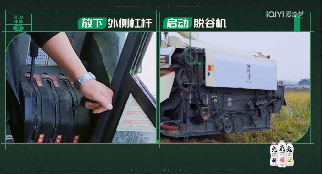 自古“糊综”多仙品！